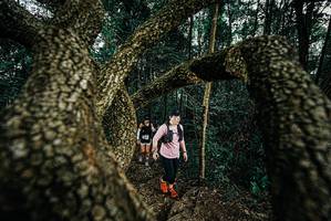 BIB: 
                            <button type="button" onclick="openModal(25703101)" class="btn btn-primary btn-sm float-right btn-popup" data-toggle="modal" data-target=".modal-high-quality">
                        <i class="fas fa-shopping-cart"></i> Add to Cart
                    </button>
                                            <button type="button" onclick="isThisMe(25703101, true)" class="btn btn-success btn-sm float-right btn-popup btn-isme hidden" data-toggle="tooltip" data-placement="bottom" title="นี่คือรูปของคุณใช่ไหม คลิกที่นี่เพื่อเอาเข้าอัลบั้ม">
                        <i class="fas fa-plus"></i> Add to album
                    </button>
                    <button type="button" onclick="isThisMe(25703101, false)" class="btn btn-warning btn-sm float-right btn-popup btn-isnotme hidden">
                        <i class="fas fa-ban"></i> Remove from album
                    </button>